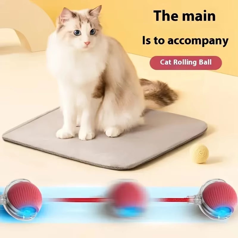 Cat Toys Toys for Cats Rechargeable Pet Interactive Automatic Rolling Ball Products Electric Dog Ball Toy Simulated Tail for Cat