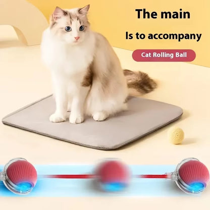 Cat Toys Toys for Cats Rechargeable Pet Interactive Automatic Rolling Ball Products Electric Dog Ball Toy Simulated Tail for Cat