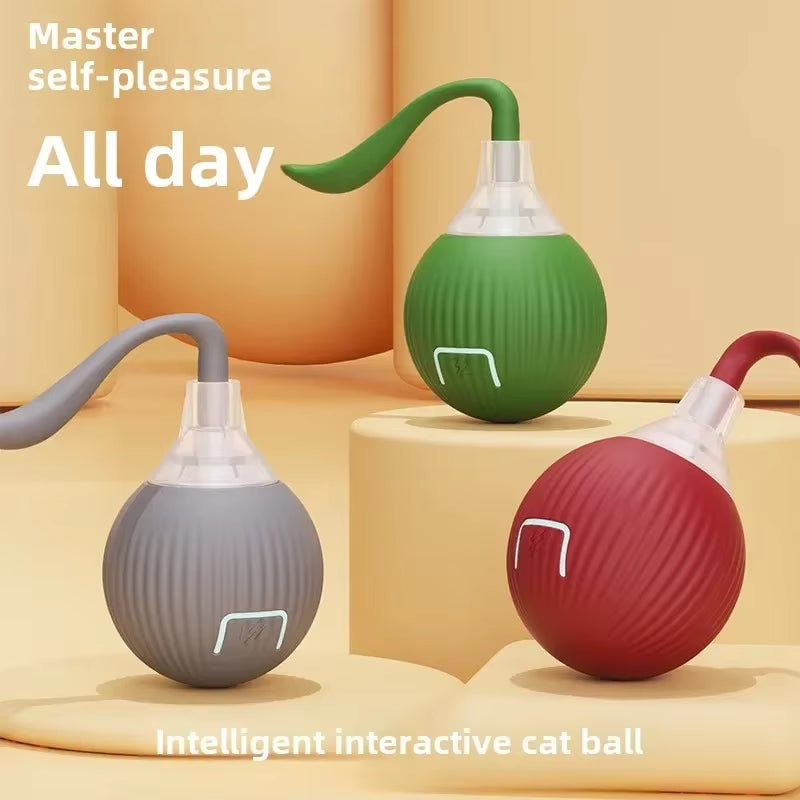 Cat Toys Toys for Cats Rechargeable Pet Interactive Automatic Rolling Ball Products Electric Dog Ball Toy Simulated Tail for Cat